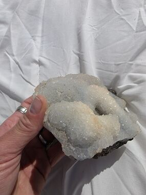 RARE FOSSILIZED CORAL SPECIMEN